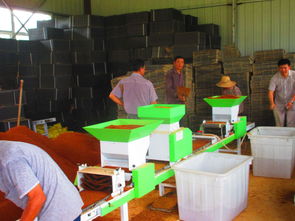 樅陽縣育秧工廠 科技減災與商務信息服務的創新實踐